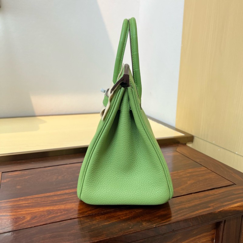 Hermes Birkin Touch Bag 25cm Togo and Niloticus Crocodile Leather