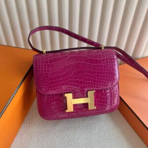 Hermes Mini Constance 19 Bag Shiny Alligator Crocodile 02