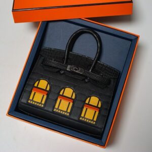 Hermes Birkin Sellier Faubourg 20cm Bags Limited Edition 01