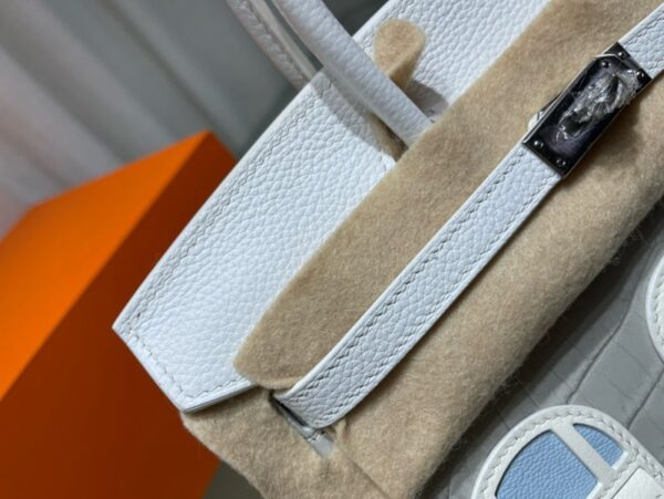 Hermes Birkin Sellier Faubourg 25cm Bags Limited Edition 01