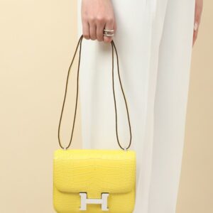 Hermes Mini Constance 19 Bag Niloticus Crocodile Leather 07