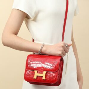 Hermes Mini Constance 19 Bag Niloticus Crocodile Leather 10