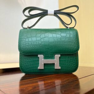 Hermes Mini Constance 19 Bag Shiny Alligator Crocodile 12