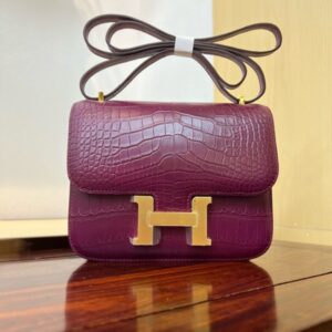 Hermes Mini Constance 19 Bag Shiny Alligator Crocodile 14